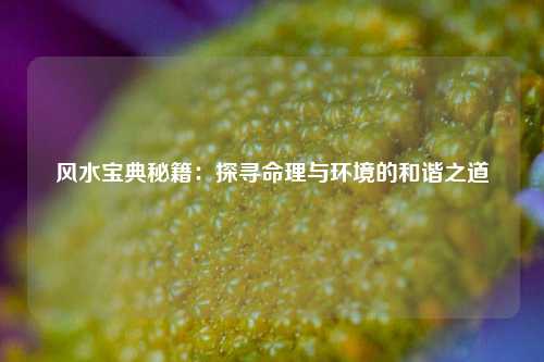 风水宝典秘籍:探寻命理与环境的和谐之道