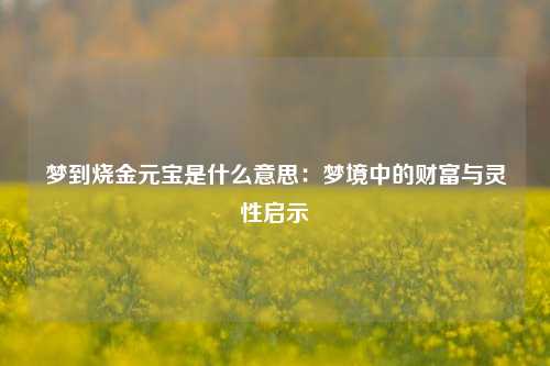 梦到烧金元宝是什么意思：梦境中的财富与灵性启示